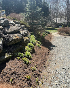 Natural stone retaining wall with fresh dark mulch, new green plantings, and a crushed gravel path.